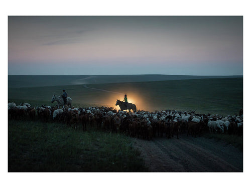 Herder Boys, Mongolia, 2016